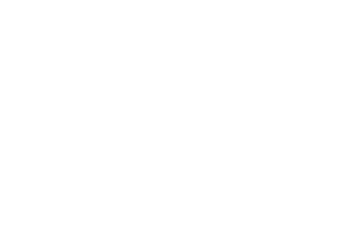 TAANZ Travel Agent